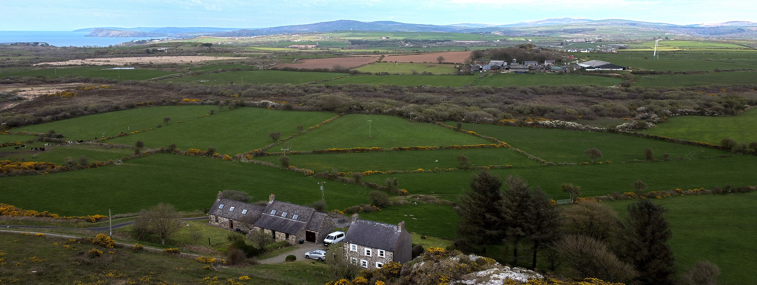 Garnllys with the Preselis